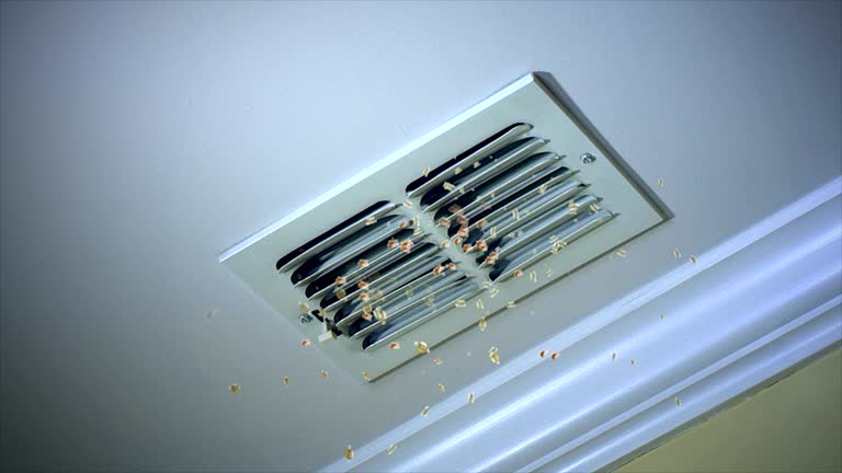 Best HVAC Duct Inspection Services  in Saddle Rock, NY